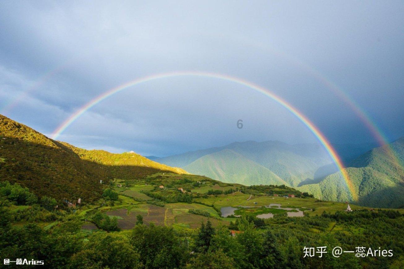 卡通骆驼救援